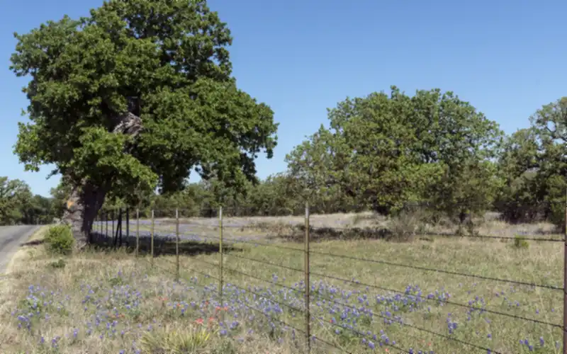 Barbed wire fence on steel T-posts beside a country road, with oak trees and bluebonnets in a Texas pasture